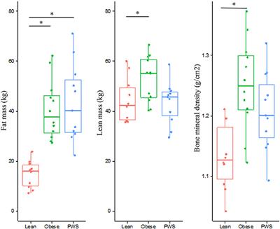 Relative Contributions of Lean and Fat Mass to Bone Mineral Density: Insight From Prader-Willi Syndrome